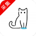 猫影视tv ios下载官方 v1.0