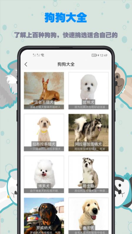 训狗教程免费app下载 v1.0.0图1