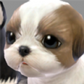宠物饲养员游戏官方安卓版 v1.0.0