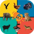 动物叫声模拟游戏安卓版 v1.0
