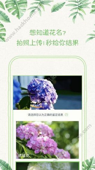 形色拍照识别花和植物下载并安装桌面官方免费app v3.14.11图1
