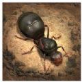 蚁族地下王国游戏安卓版 v1.20.0