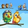 小鸟分类谜题游戏安卓官方版下载 v1.0.3