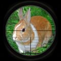 兔子狩猎3D游戏官方安卓版 v2.0