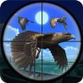 鸟类狩猎挑战游戏官方安卓版 v1.0
