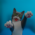 滑稽的猫游戏安卓手机版（Funny Cat 3D） v2.0