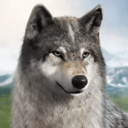狼族崛起游戏国际服 1.0.3 安卓版