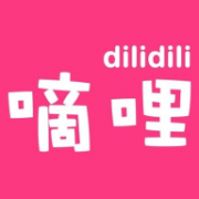 dilidili嘀哩嘀哩电视版 1.0 安卓版