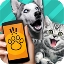 Pet Translator宠物对话翻译器app 1.1 安卓版