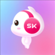 StreamKar 9.13.1 安卓版