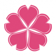樱花动漫APP最新版本2024 5.3.9 安卓版