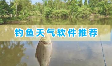 好用的钓鱼天气软件推荐-钓鱼用的天气软件有哪些-钓鱼必备天气预报软件大全