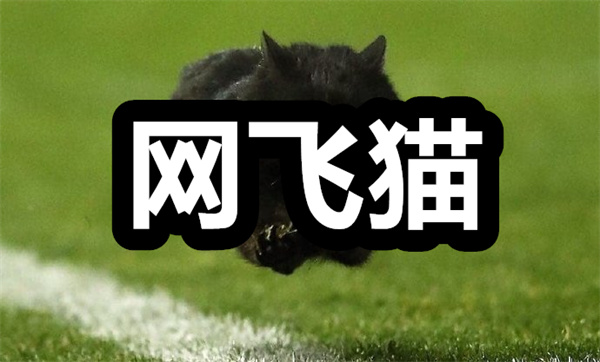 网飞猫下载 网飞猫播放器 网飞猫追剧影视下载