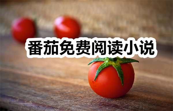 番茄免费阅读小说下载 番茄免费阅读小说app下载安装 番茄免费阅读小说2025最新版官方正版 番茄免费阅读小说下载 番茄免费阅读小说app下载安装 番茄免费阅读小说2025最新版官方正版