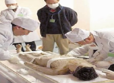 探秘马王堆：千年不朽女尸背后的历史密码