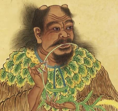 神农：以身试百草，躬耕启文明--华夏农耕与医药的源头传奇