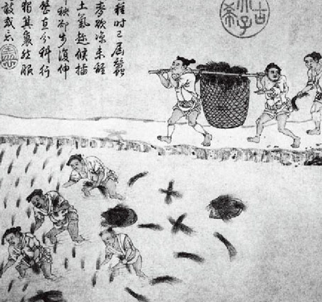 凋敝复生:北魏推行均田制如何让北方农业重焕生机